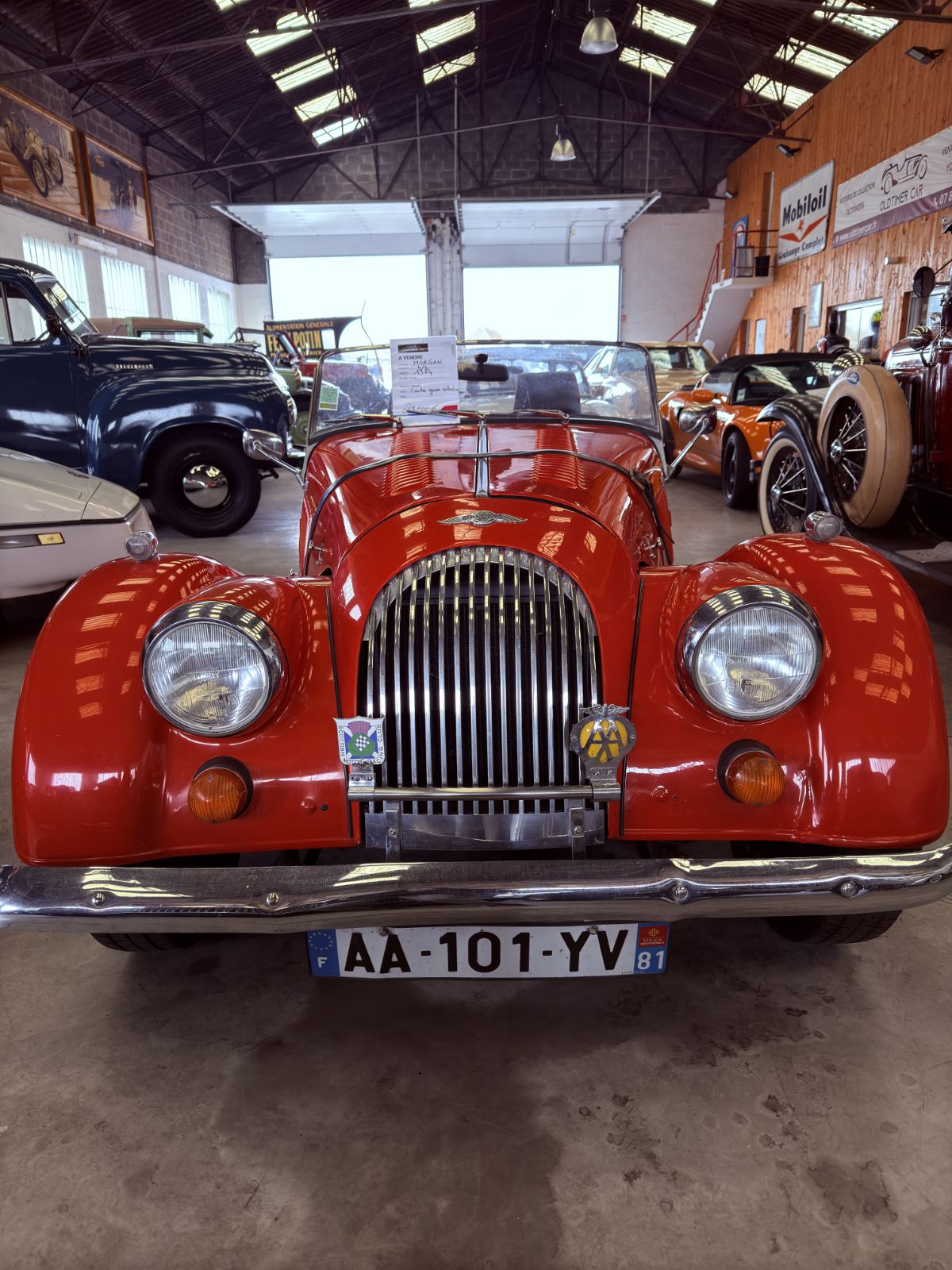 Morgan 1984